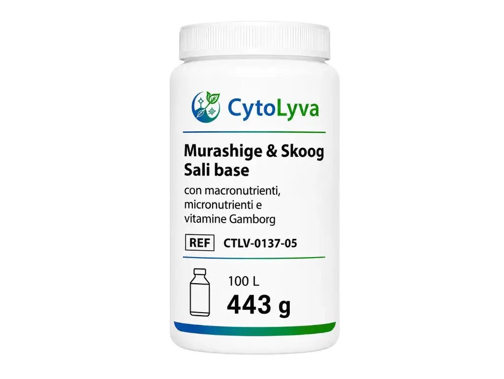 Murashige & Skoog Sali base con macronutrienti, micronutrienti e vitamine Gamborg