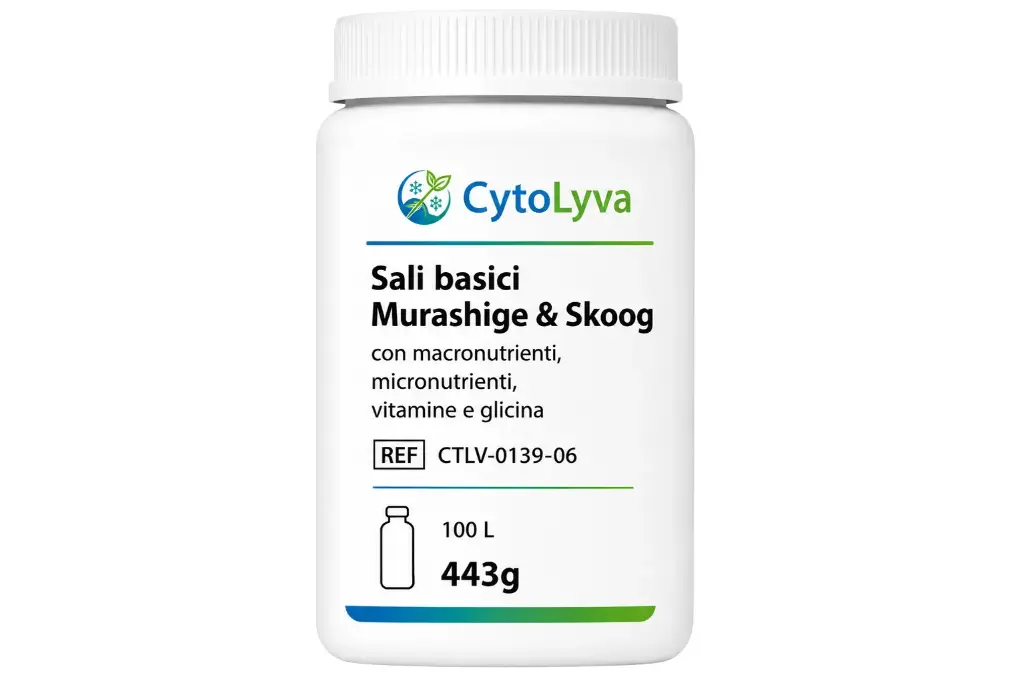 Sali basici Murashige & Skoog con macronutrienti, micronutrienti, vitamine e glicina